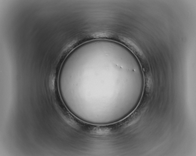 X0000111890491200908061337