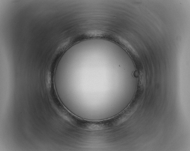 X0000111890494200908061337