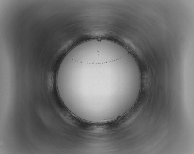 X0000111890495200908061337