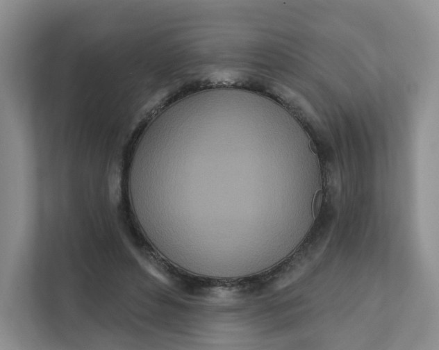 X0000111890496200908061337