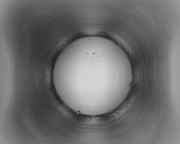 X0000111890497200908061337