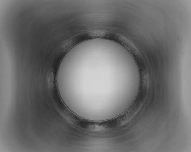 X0000111890498200908061337