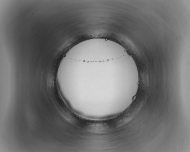 X0000111890499200908061337