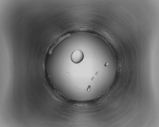 X0000111890500200908061337