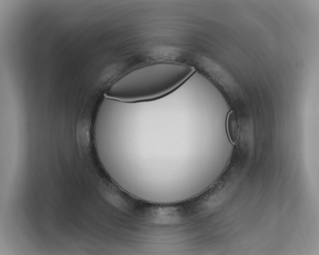 X0000111890501200908061337