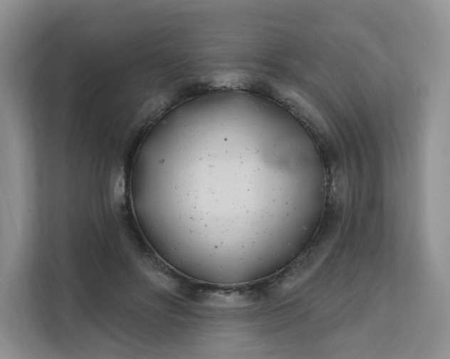 X0000111890502200908061337