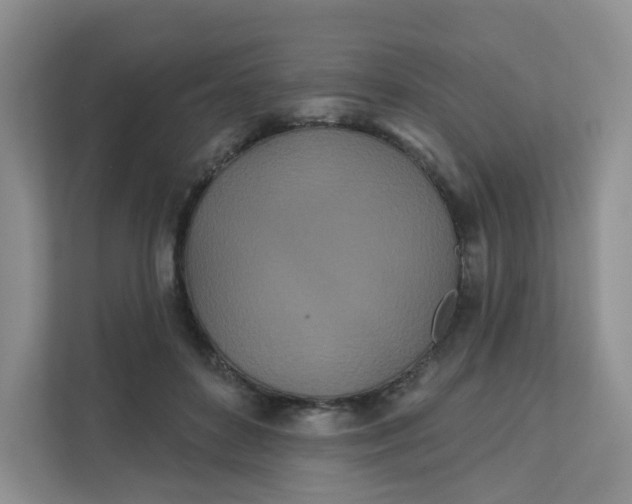 X0000111890504200908061337