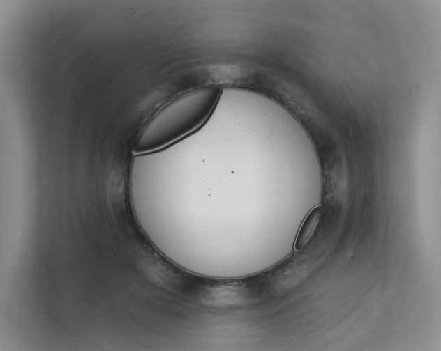 X0000111890505200908061337