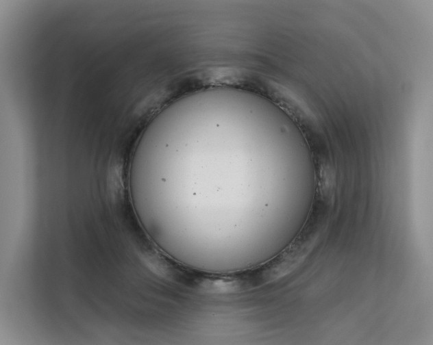 X0000111890506200908061336