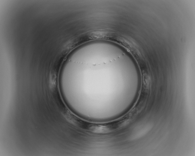 X0000111890507200908061336