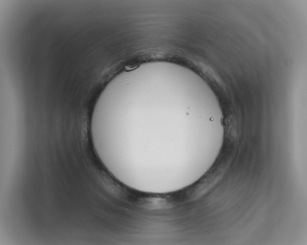 X0000111890509200908061336