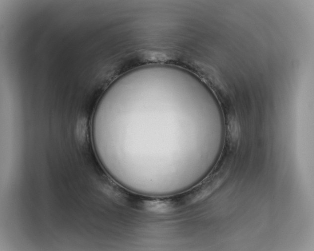 X0000111890511200908061336