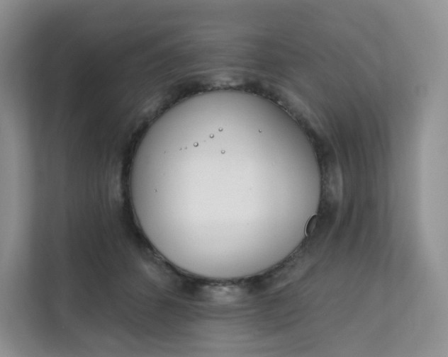 X0000111890512200908061336