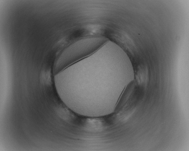 X0000111890520200908061336