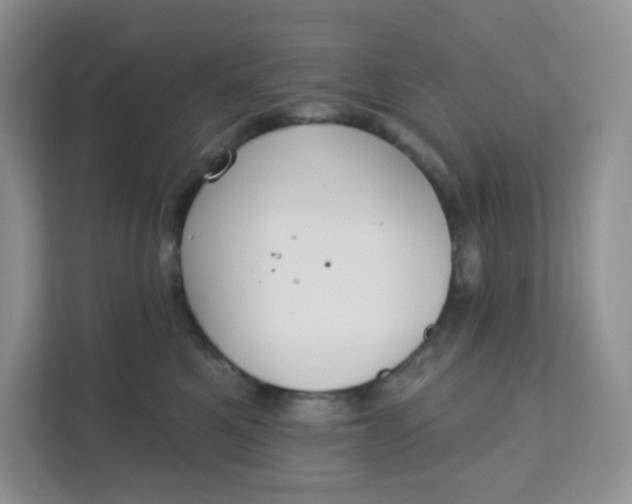 X0000111890521200908061336