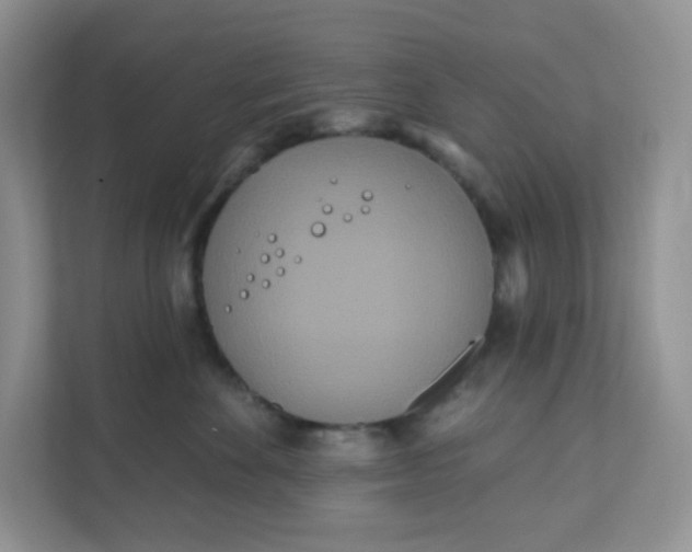 X0000111890524200908061336