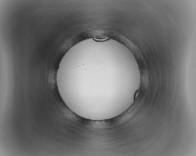 X0000111890525200908061336