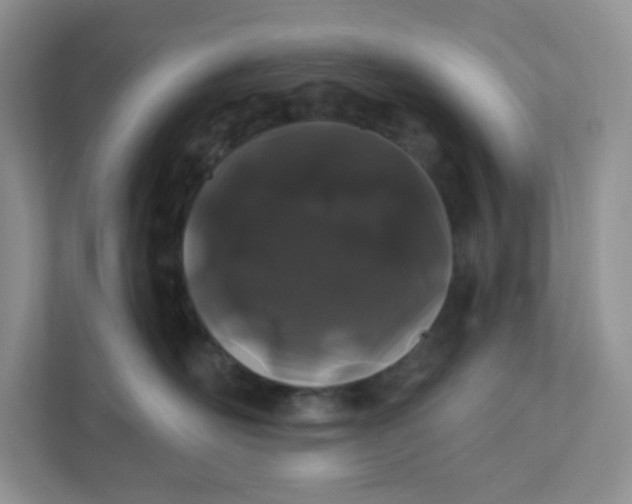 X0000111890526200908061336