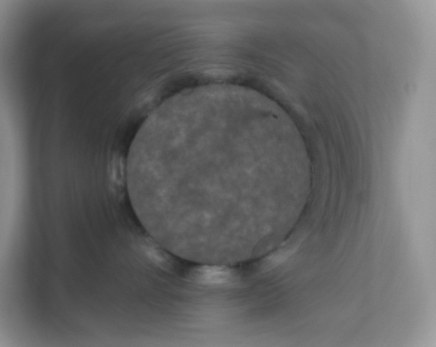 X0000111890528200908061336