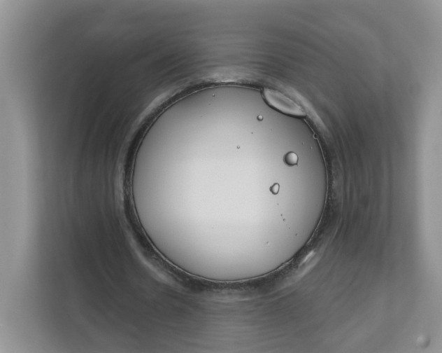 X0000111890530200908061336