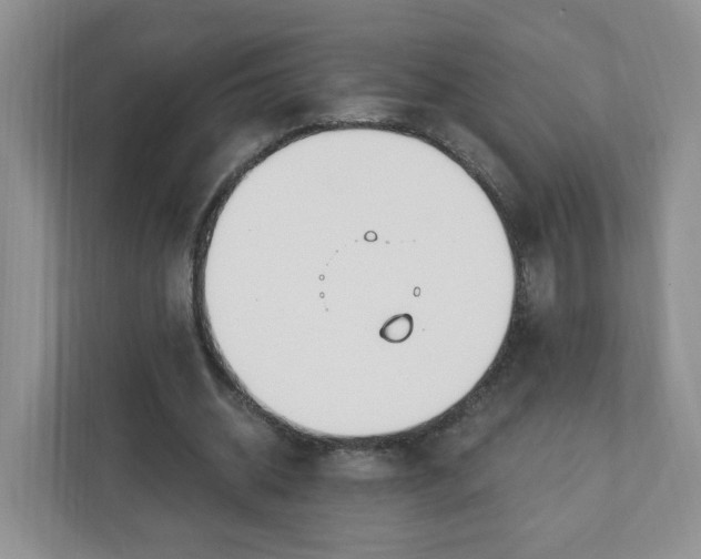 X0000111890534200908061336