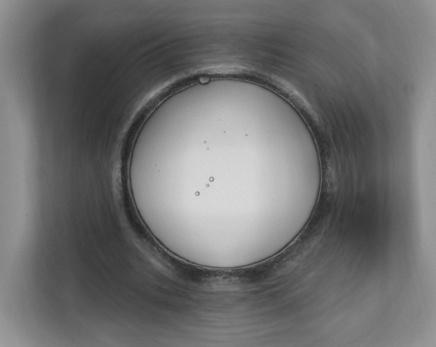 X0000111890535200908061336