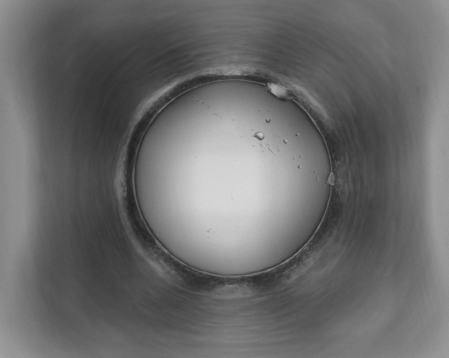 X0000111890536200908061336