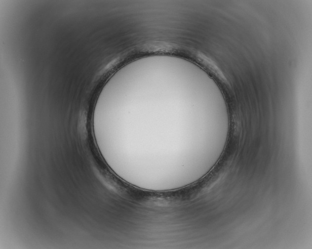 X0000111890538200908061336