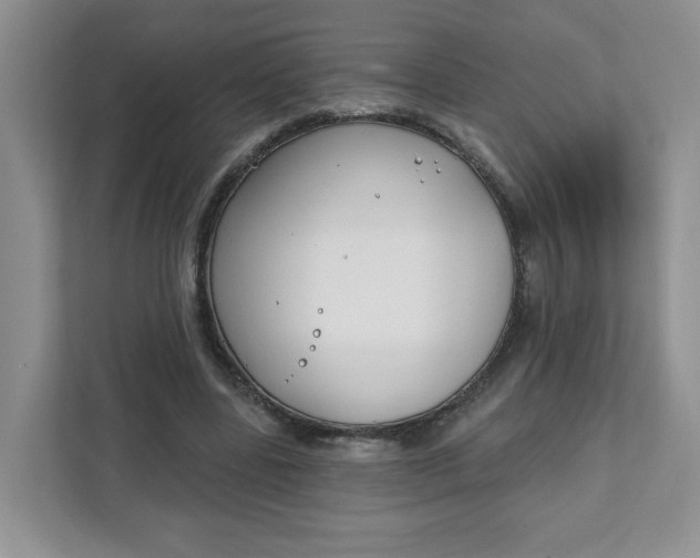 X0000111890539200908061336