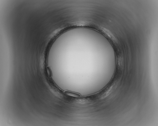 X0000111890540200908061336