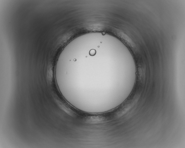 X0000111890541200908061336