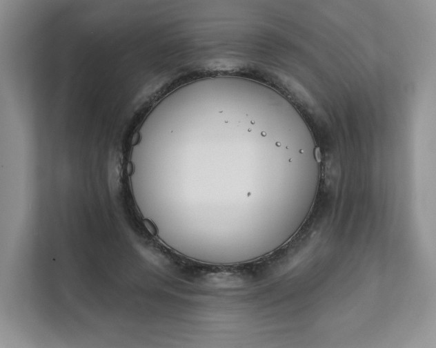 X0000111890544200908061336