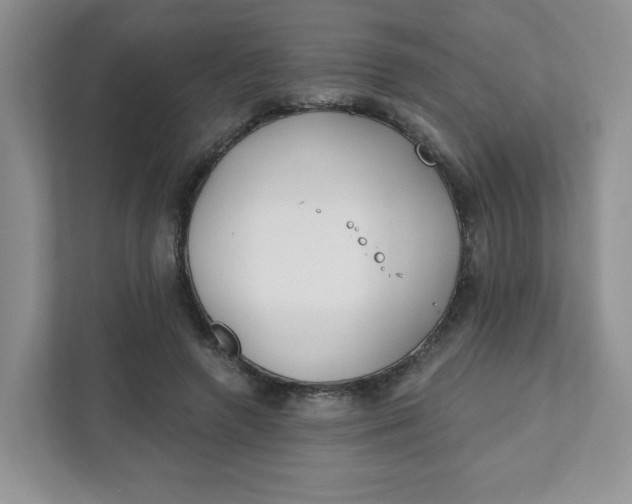 X0000111890546200908061336