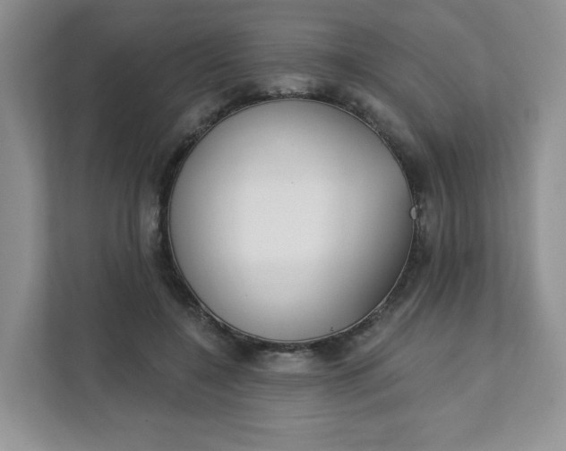 X0000111890548200908061336