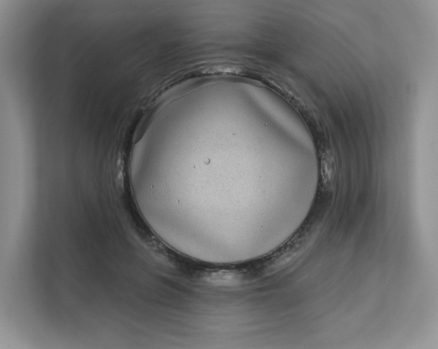 X0000111890551200908061336