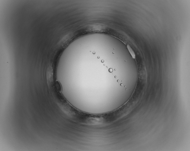 X0000111890552200908061336