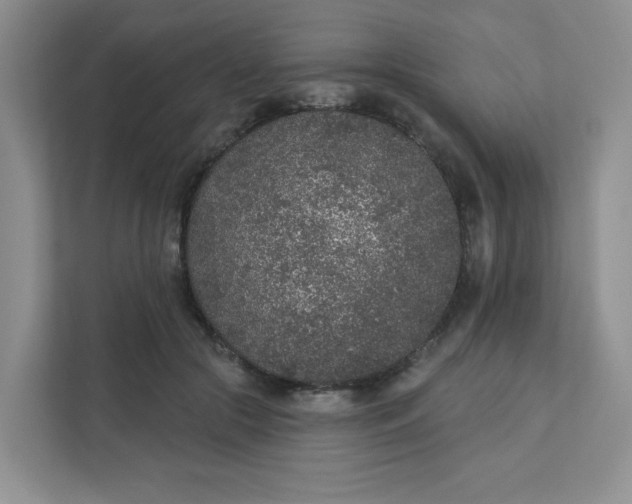 X0000111890553200908061336