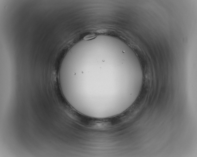 X0000111890555200908061336