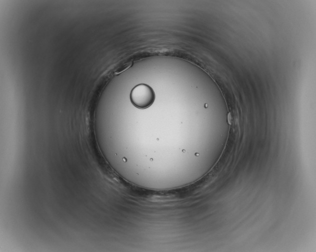 X0000111890556200908061336