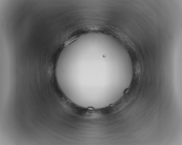 X0000111890559200908061336