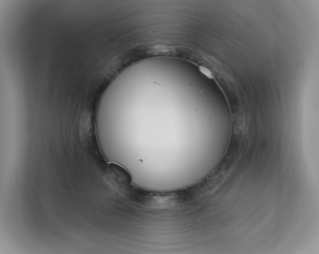 X0000111890560200908061336