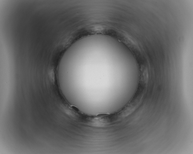 X0000111890562200908061336