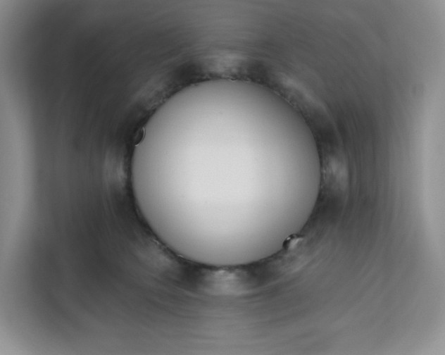 X0000111890566200908061336