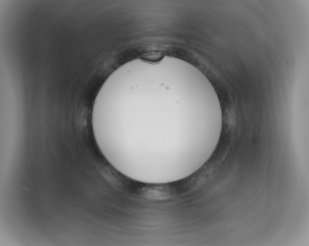 X0000111890567200908061336