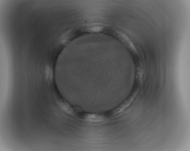 X0000111890568200908061336