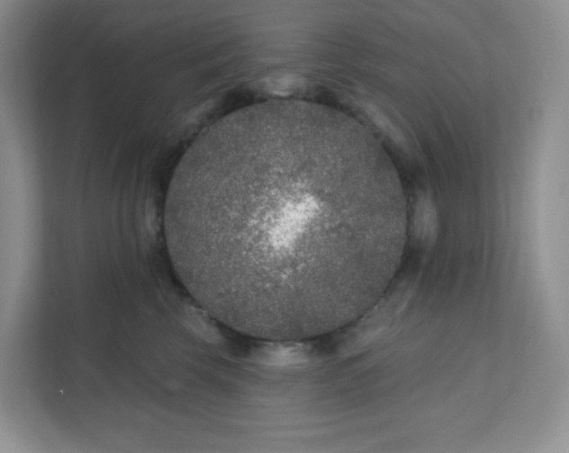 X0000111890569200908061336