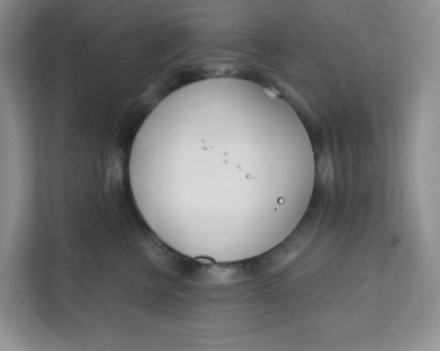 X0000111890570200908061336