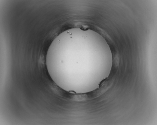 X0000111890571200908061336