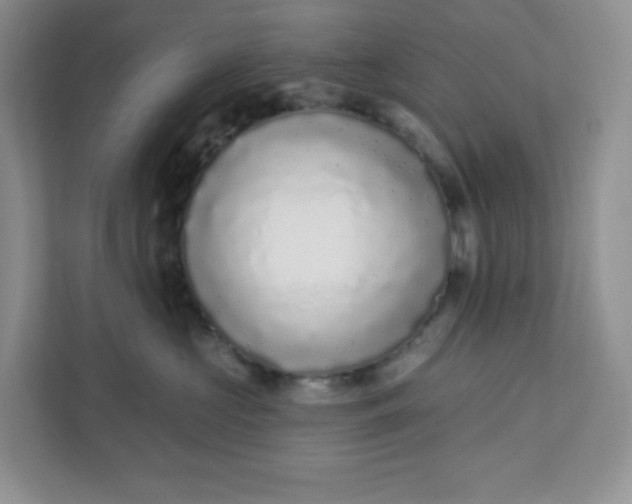 X0000111890573200908061336