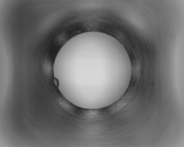 X0000111890574200908061336